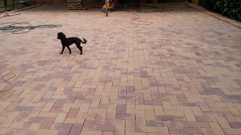 Corobrick Namaqua herringbone driveway in Gauteng