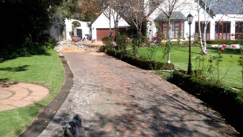 Red cobble paving repair and relay in Alberton